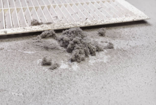 Best Dryer Vent Cleaning Services  in Sleepy Hollow, WY